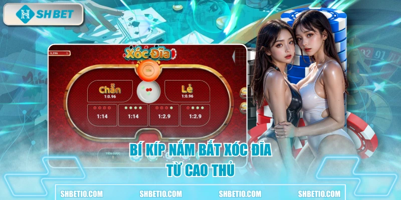 Bí kíp nắm bắt xóc đĩa từ cao thủ