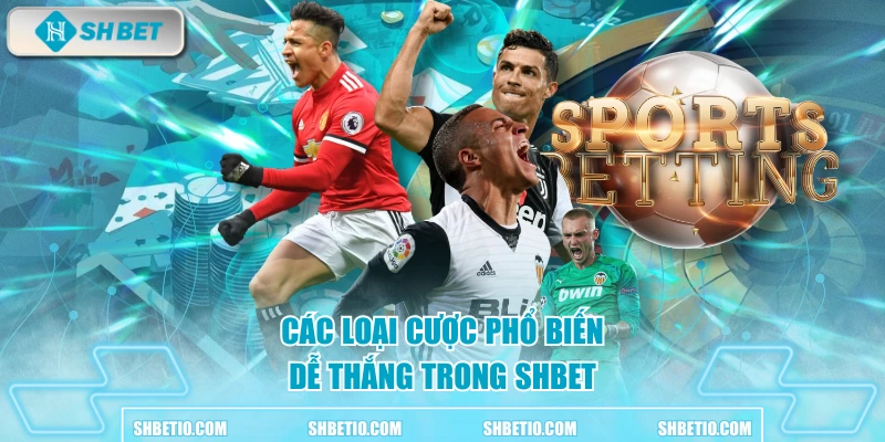 Các loại cược phổ biến dễ thắng trong SHBET