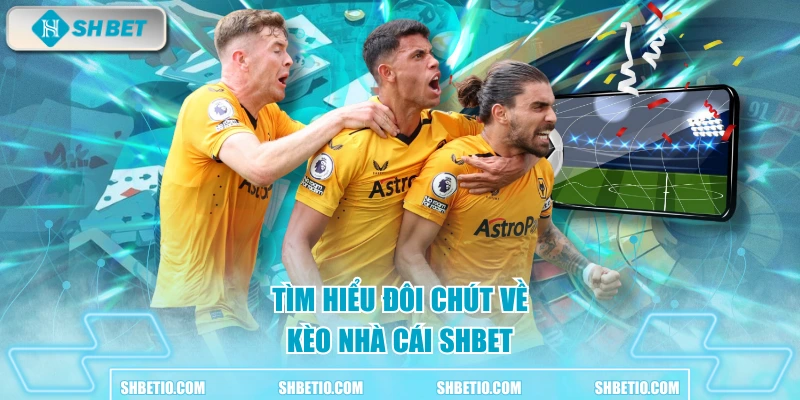 Tìm hiểu đôi chút về kèo nhà cái SHBET
